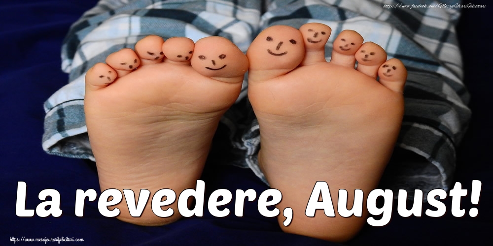 Felicitari de 31 August - La revedere, August!