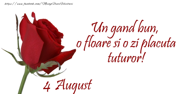 Felicitari de 4 August - Un gand bun, o floare si o zi placuta tuturor!