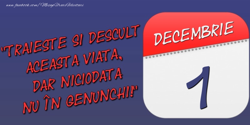 Trăieşte şi desculţ această viaţă, dar niciodată nu în genunchi! 1 Decembrie