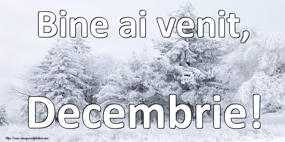 Felicitari de 1 Decembrie - Bine ai venit, Decembrie!