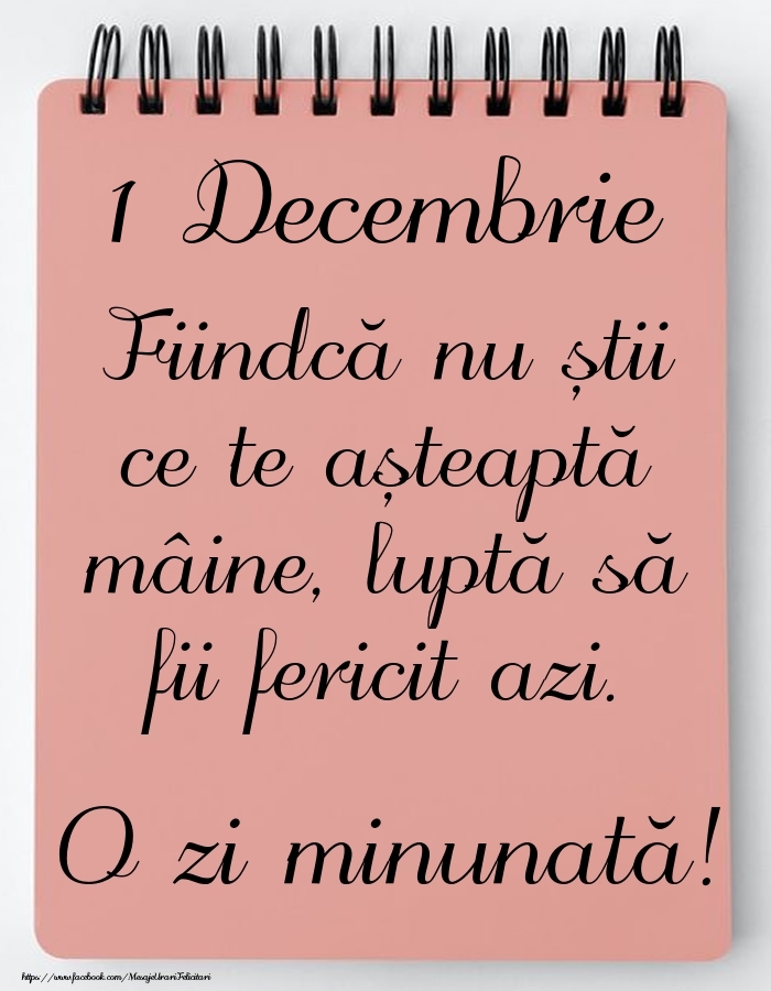 Mesajul zilei -  1 Decembrie - O zi minunată!