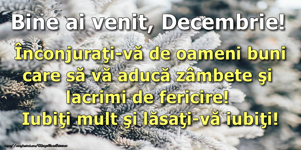Felicitari de 1 Decembrie - Bine ai venit, Decembrie! Înconjuraţi-vă de oameni buni care să vă aducă zâmbete şi lacrimi de fericire! Iubiţi mult şi lăsaţi-vă iubiţi!