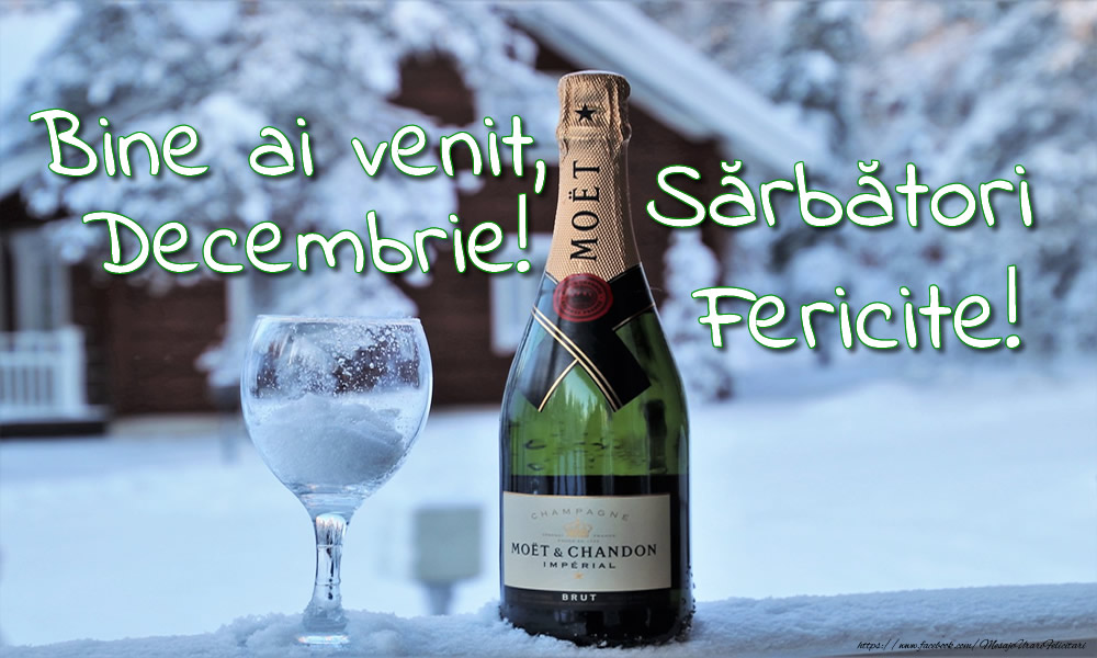 Felicitari de 1 Decembrie - Bine ai venit, Decembrie! Sărbători Fericite!