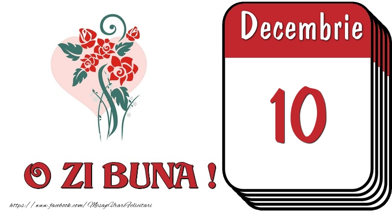 Decembrie 10 O zi buna