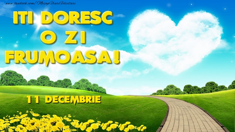 ITI DORESC O ZI FRUMOASA! Decembrie11