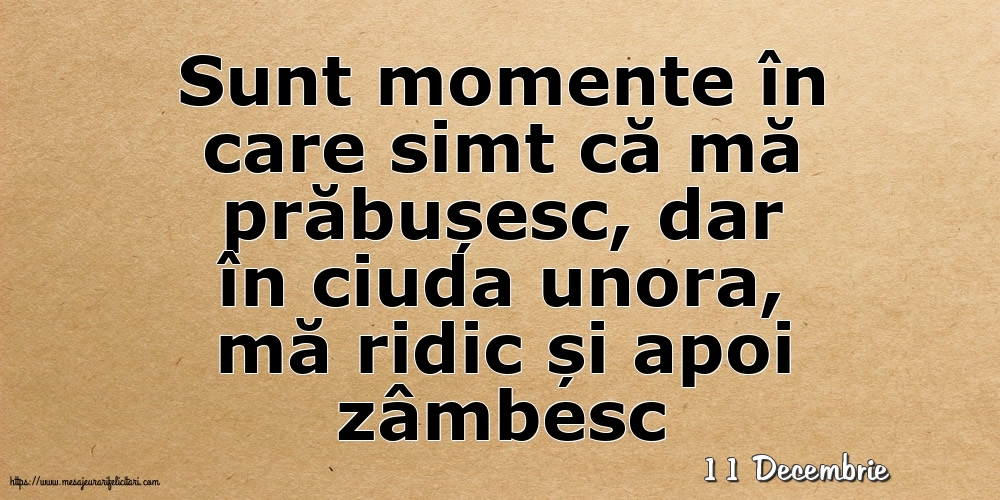 Felicitari de 11 Decembrie - 11 Decembrie - Sunt momente în care simt că mă prăbușesc