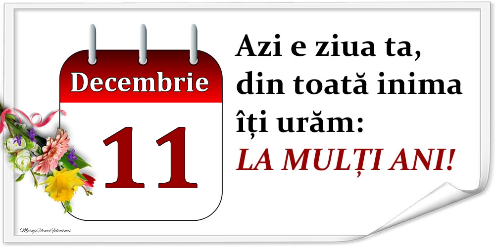 Decembrie 11 Azi e ziua ta, din toată inima îți urăm: LA MULȚI ANI!