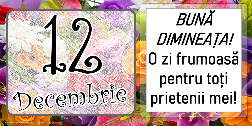 Felicitari de 12 Decembrie - 12 Decembrie - BUNĂ DIMINEAȚA! O zi frumoasă pentru toți prietenii mei!