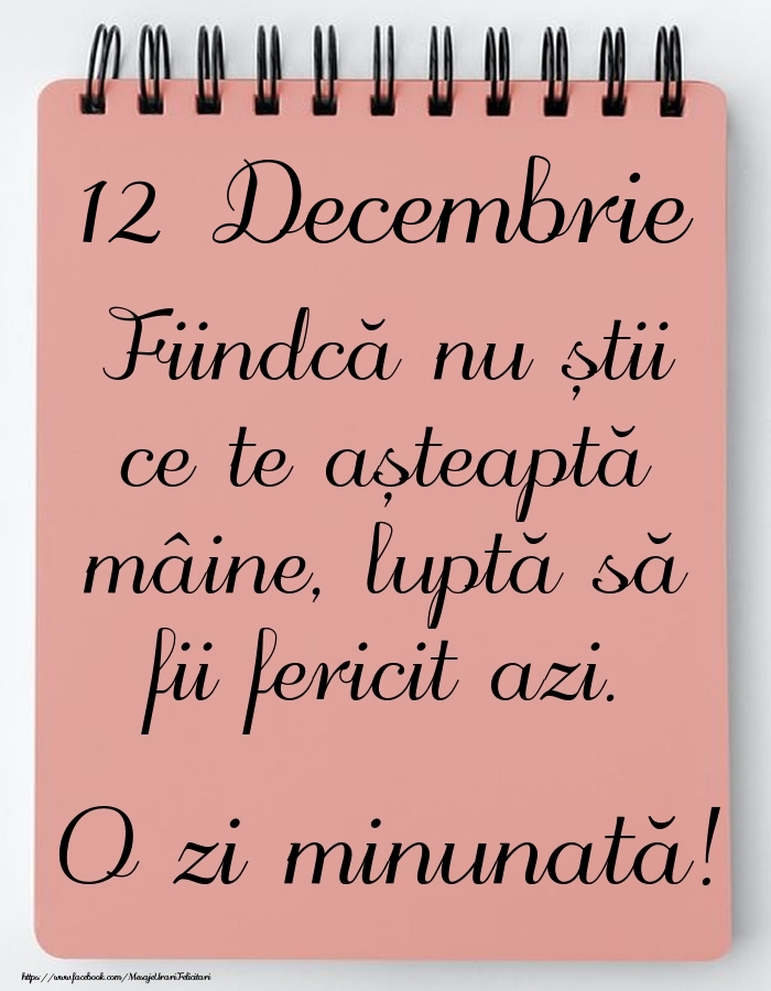 Mesajul zilei -  12 Decembrie - O zi minunată!