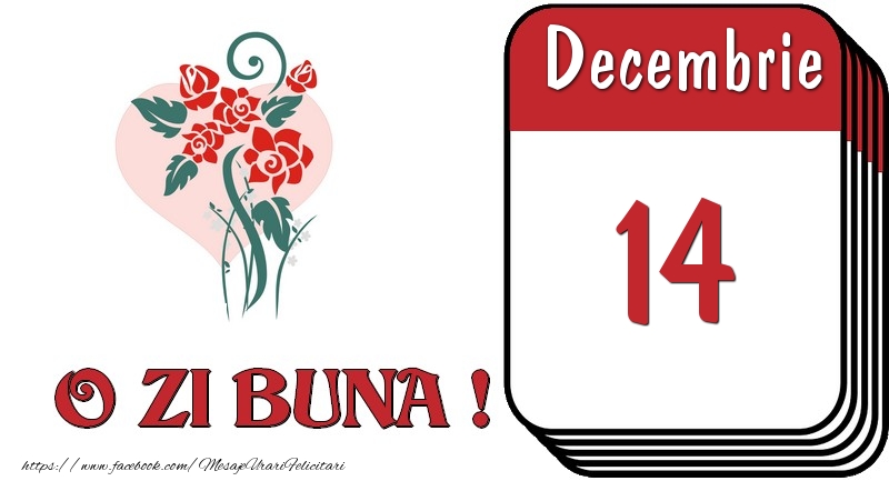 Decembrie 14 O zi buna