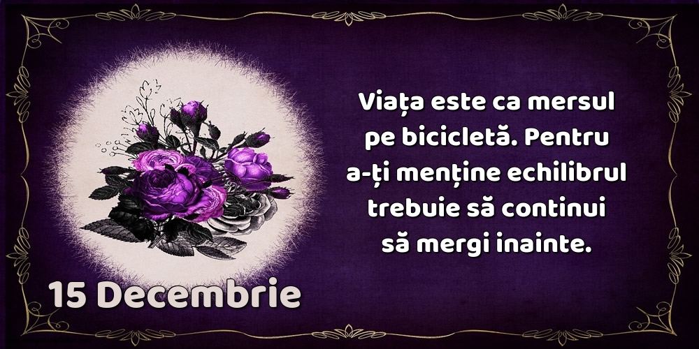 15.Decembrie Viața este ca mersul pe bicicletă. Pentru a-ți menține echilibrul trebuie să continui să mergi inainte.