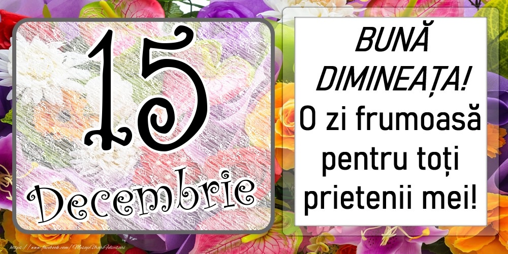 15 Decembrie - BUNĂ DIMINEAȚA! O zi frumoasă pentru toți prietenii mei!