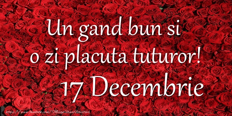 Felicitari de 17 Decembrie - Un gand bun si  o zi placuta tuturor! Decembrie 17