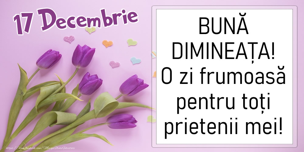 17 Decembrie - BUNĂ DIMINEAȚA! O zi frumoasă pentru toți prietenii mei!