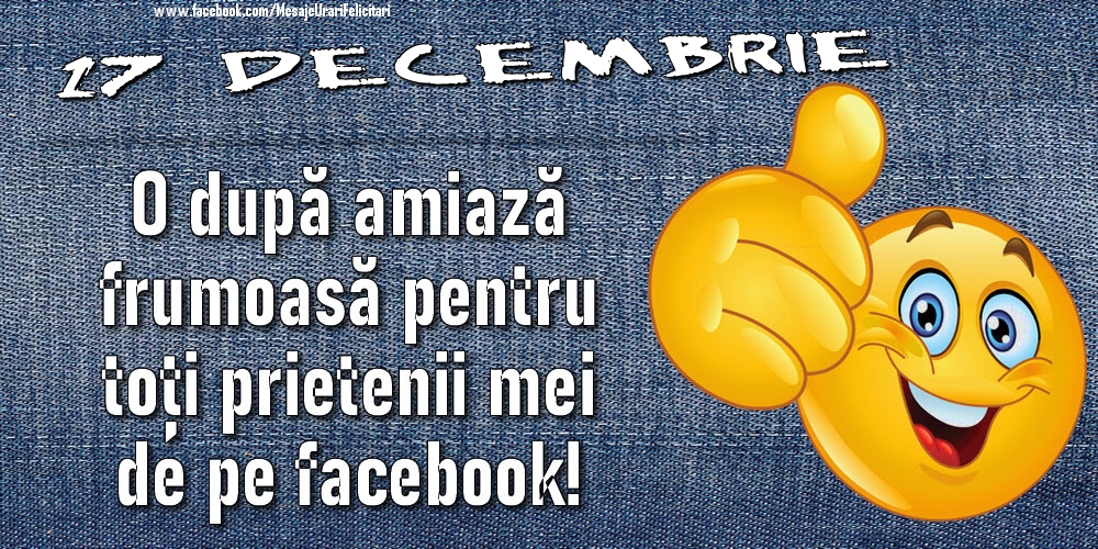17 Decembrie - O după amiază frumoasă pentru toți prietenii mei de pe facebook!
