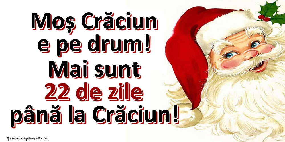 Felicitari de 2 Decembrie - Moș Crăciun e pe drum! Mai sunt 22 de zile până la Crăciun!