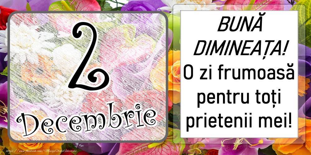 2 Decembrie - BUNĂ DIMINEAȚA! O zi frumoasă pentru toți prietenii mei!