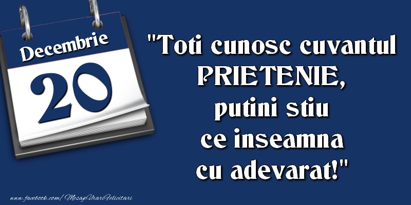 Toti cunosc cuvantul PRIETENIE, putini stiu ce inseamna cu adevarat! 20 Decembrie