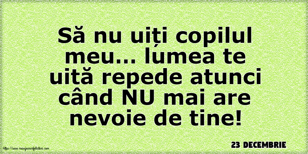 Felicitari de 23 Decembrie - 23 Decembrie - Să nu uiți copilul meu
