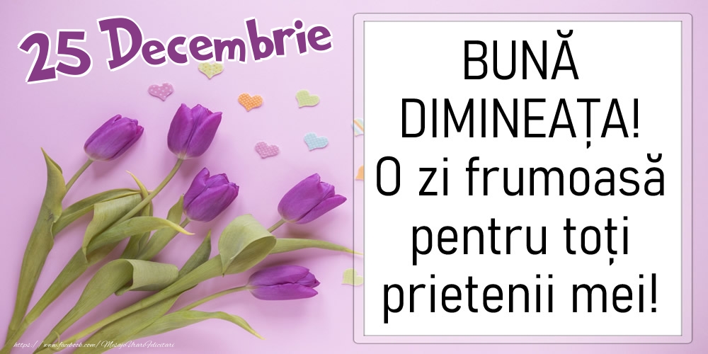 25 Decembrie - BUNĂ DIMINEAȚA! O zi frumoasă pentru toți prietenii mei!