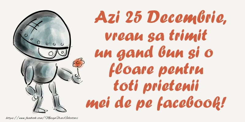 Azi 25 Decembrie, vreau sa trimit un gand bun si o floare pentru toti prietenii mei de pe facebook!