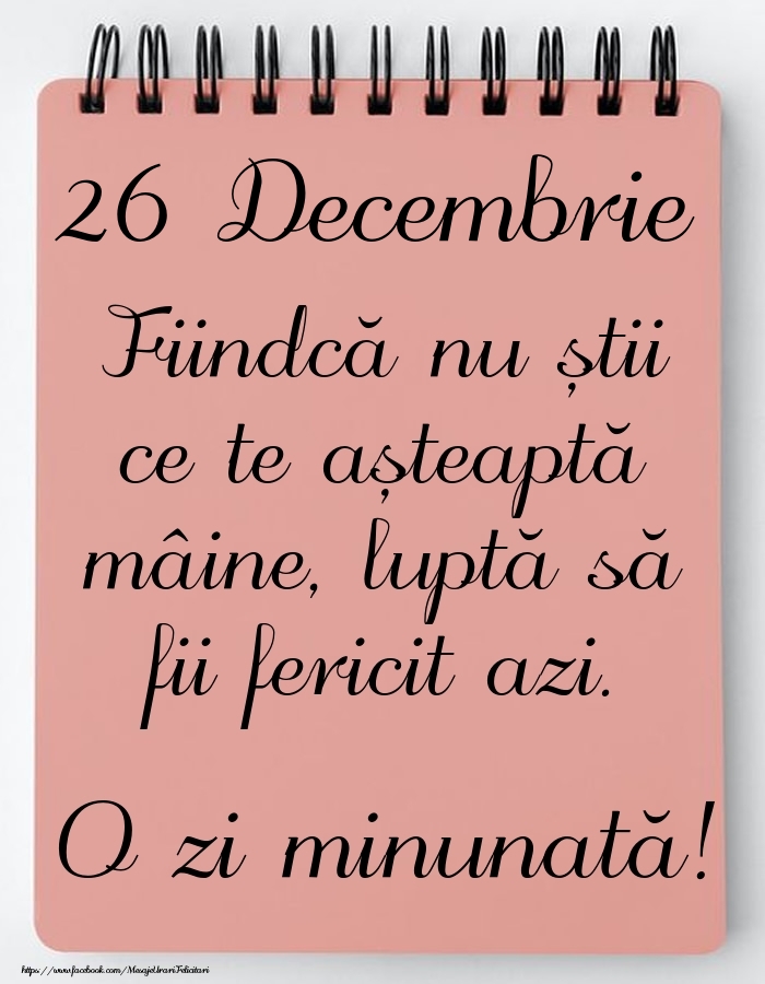 Mesajul zilei -  26 Decembrie - O zi minunată!