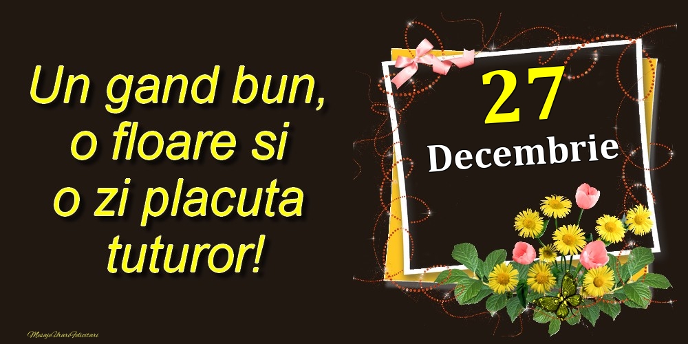 Decembrie 27 Un gand bun, o floare si o zi placuta tuturor!