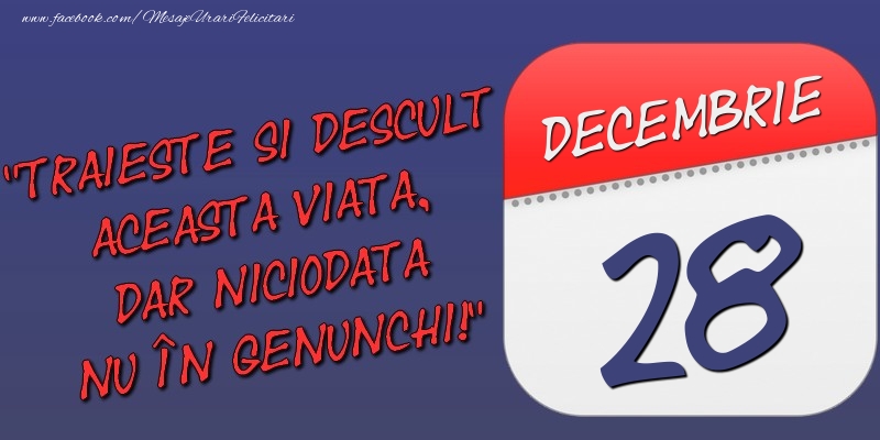 Felicitari de 28 Decembrie - Trăieşte şi desculţ această viaţă, dar niciodată nu în genunchi! 28 Decembrie