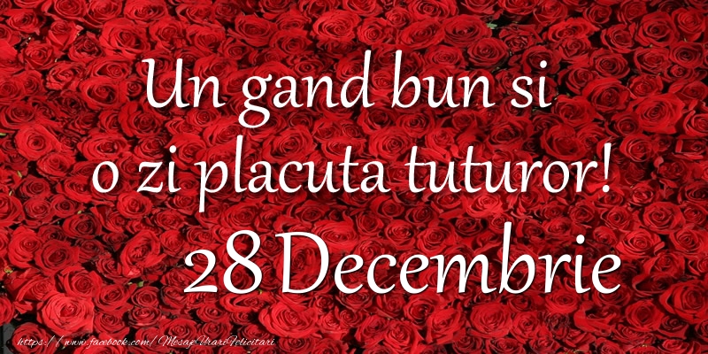 Un gand bun si  o zi placuta tuturor! Decembrie 28