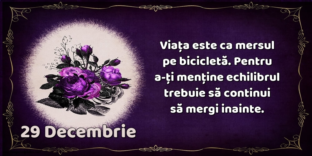 29.Decembrie Viața este ca mersul pe bicicletă. Pentru a-ți menține echilibrul trebuie să continui să mergi inainte.