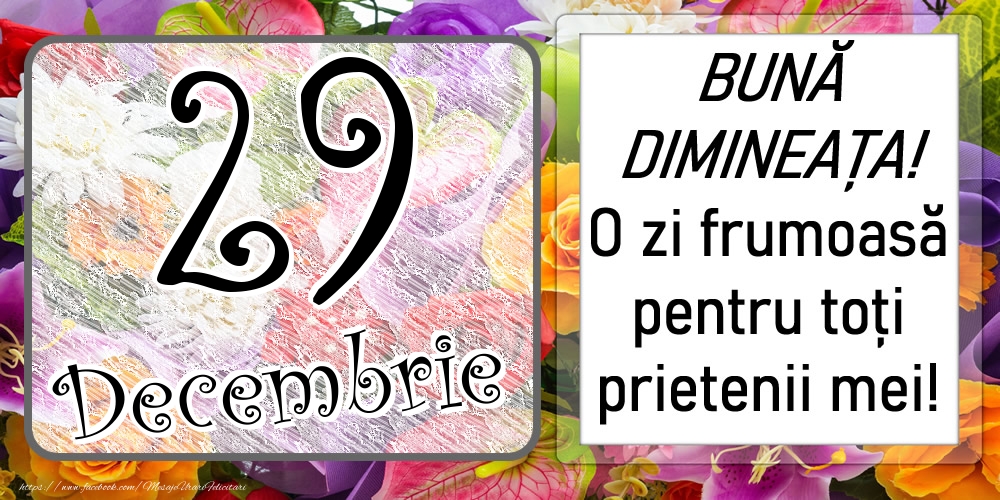 29 Decembrie - BUNĂ DIMINEAȚA! O zi frumoasă pentru toți prietenii mei!
