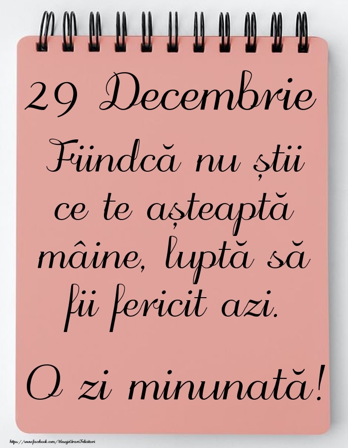 Mesajul zilei -  29 Decembrie - O zi minunată!
