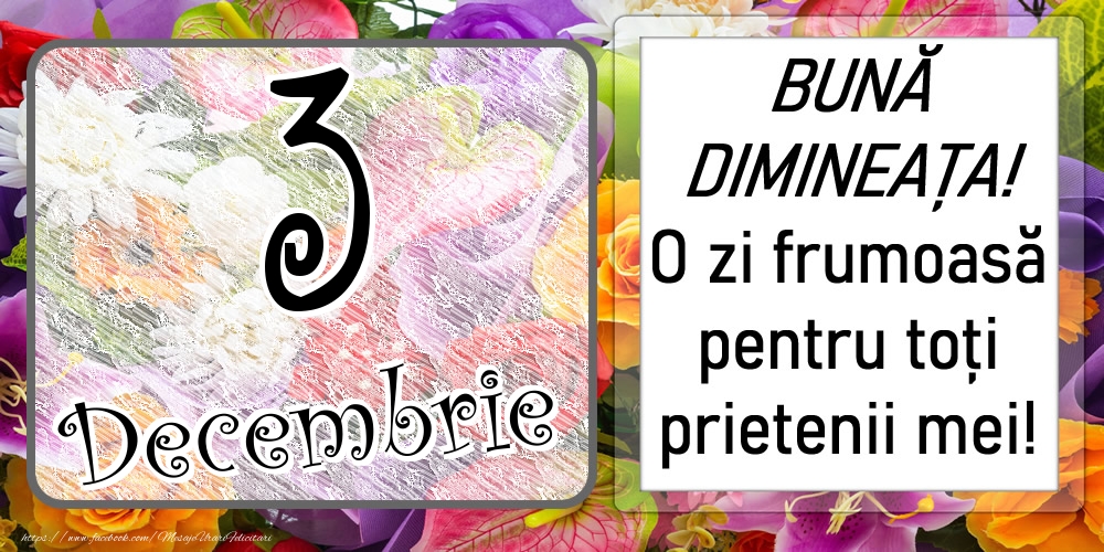 Felicitari de 3 Decembrie - 3 Decembrie - BUNĂ DIMINEAȚA! O zi frumoasă pentru toți prietenii mei!