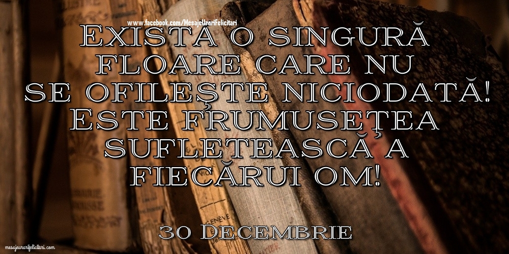 30 Decembrie - Există o singură floare care nu se ofileşte niciodată! Este frumuseţea sufletească a fiecărui om!