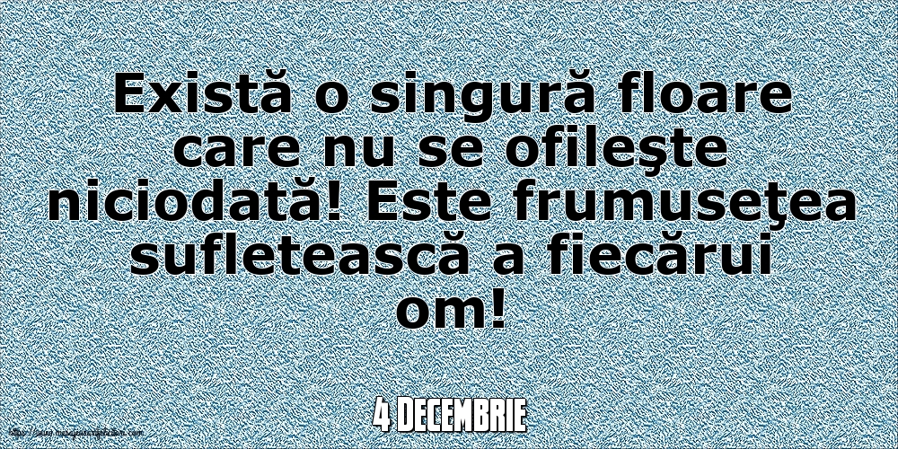 Felicitari de 4 Decembrie - 4 Decembrie - Există o singură floare care nu se ofileşte niciodată