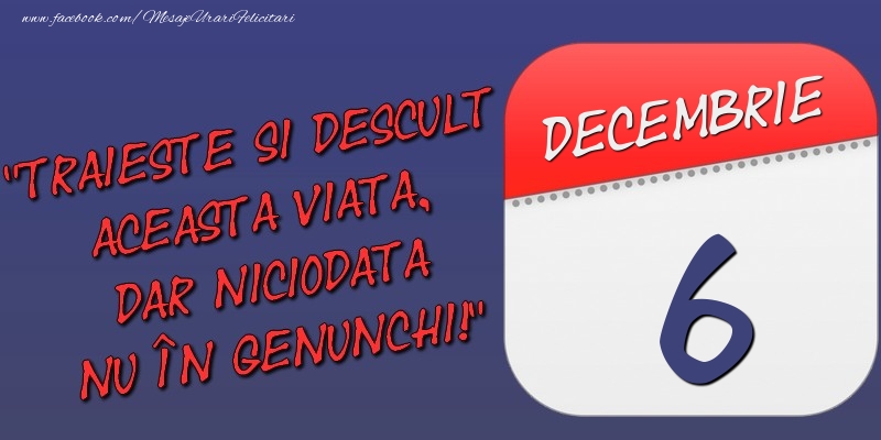 Felicitari de 6 Decembrie - Trăieşte şi desculţ această viaţă, dar niciodată nu în genunchi! 6 Decembrie