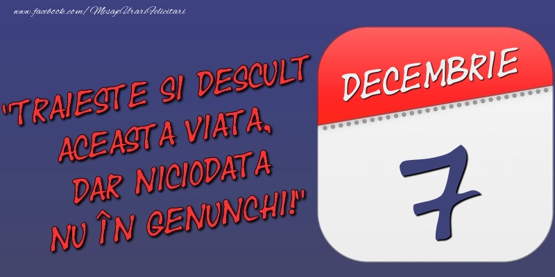 Felicitari de 7 Decembrie - Trăieşte şi desculţ această viaţă, dar niciodată nu în genunchi! 7 Decembrie