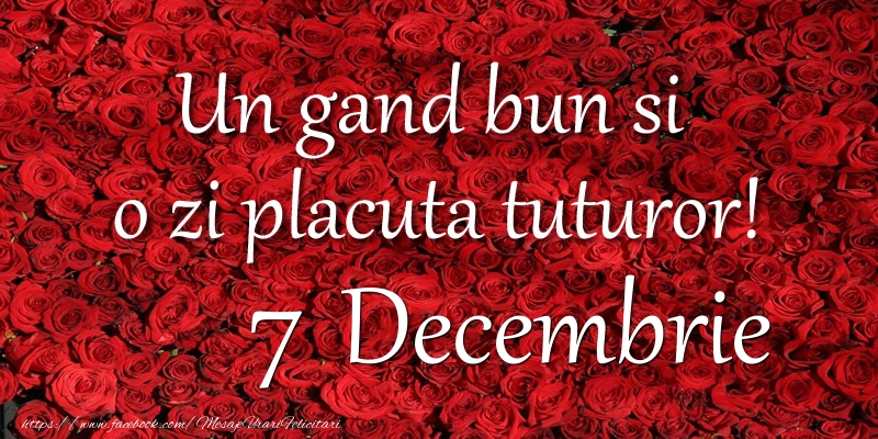 Felicitari de 7 Decembrie - Un gand bun si  o zi placuta tuturor! Decembrie 7