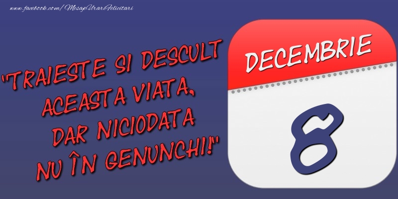 Felicitari de 8 Decembrie - Trăieşte şi desculţ această viaţă, dar niciodată nu în genunchi! 8 Decembrie