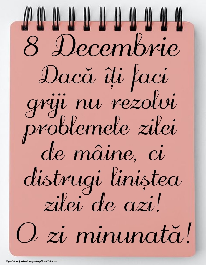 8 Decembrie - Mesajul zilei - O zi minunată!