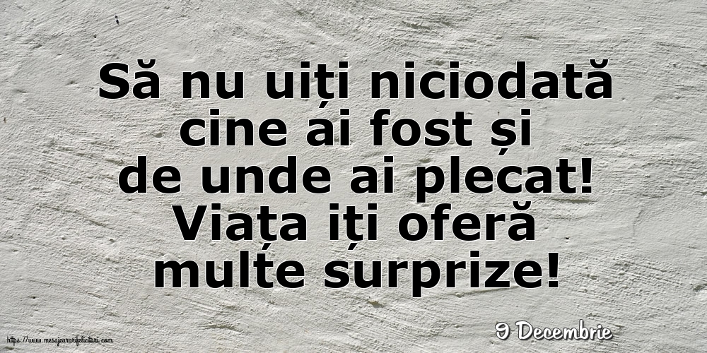 Felicitari de 9 Decembrie - 9 Decembrie - Viața iți oferă multe surprize!