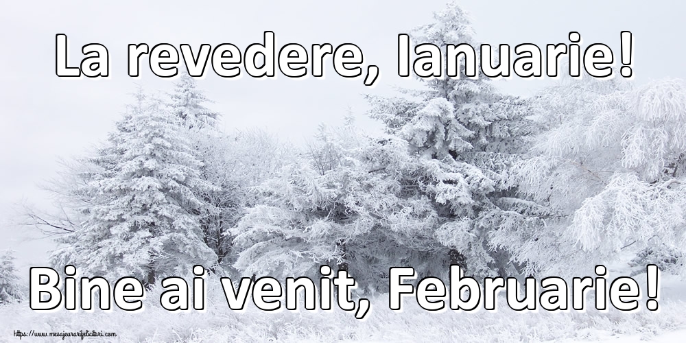 Felicitari de 1 Februarie - La revedere, Ianuarie! Bine ai venit, Februarie!