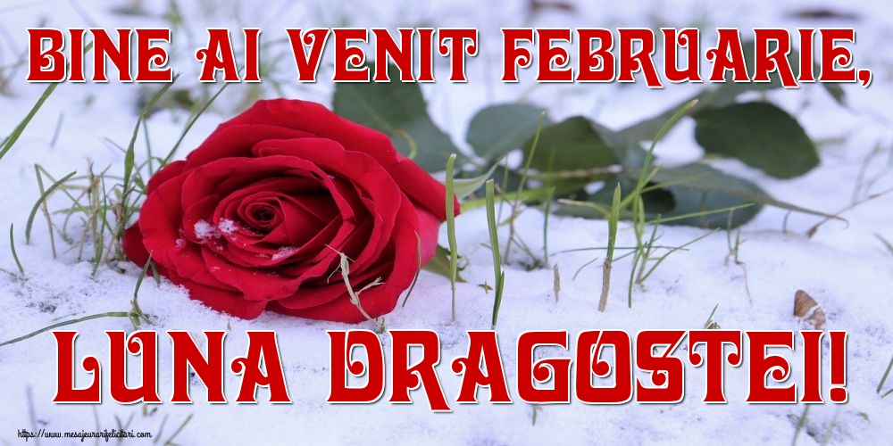 Felicitari de 1 Februarie - Bine ai venit Februarie, luna dragostei!
