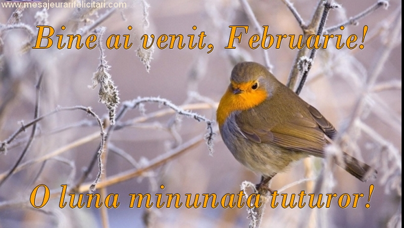 Felicitari de 1 Februarie - Bine ai venit, Februarie! O lună minunată tuturor!
