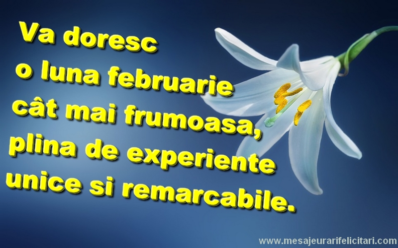 Felicitari de 1 Februarie - Vă doresc o lună Februarie cât mai frumoasă, plină de experiențe unice și remarcabile.