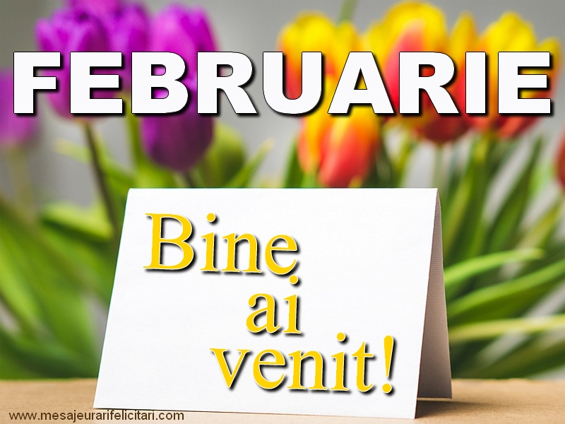 Felicitari de 1 Februarie - Februarie, bine ai venit!