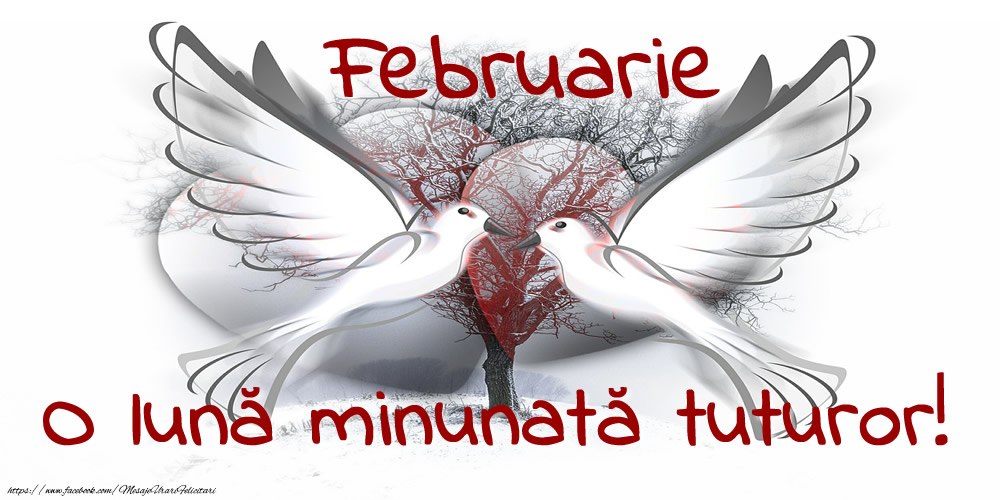Felicitari de 1 Februarie - Februarie - O lună minunată tuturor!