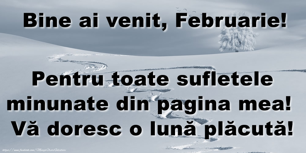 Felicitari de 1 Februarie - Bine ai venit, Februarie! Pentru toate sufletele minunate din pagina mea! Vă doresc o lună plăcută!
