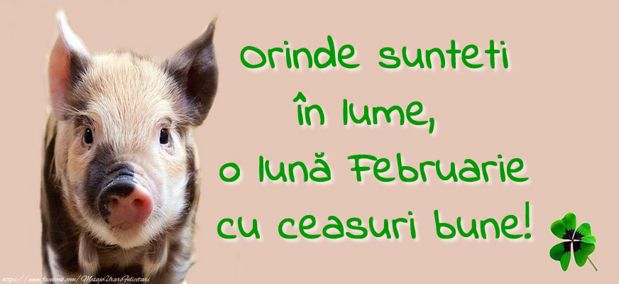 Felicitari de 1 Februarie - Orinde sunteți în lume, o lună Februarie cu ceasuri bune!