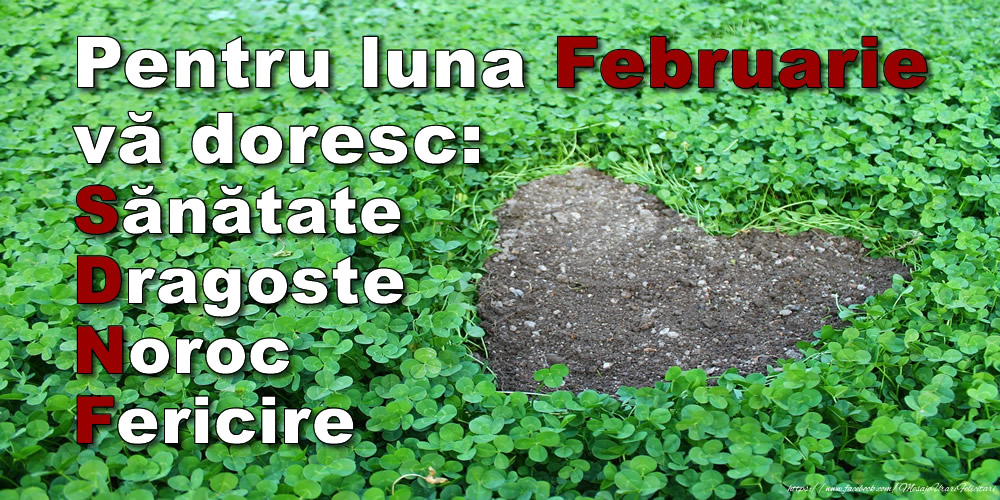 Felicitari de 1 Februarie - Pentru luna Februarie vă doresc: Sănătate, Dragoste, Noroc, Fericire